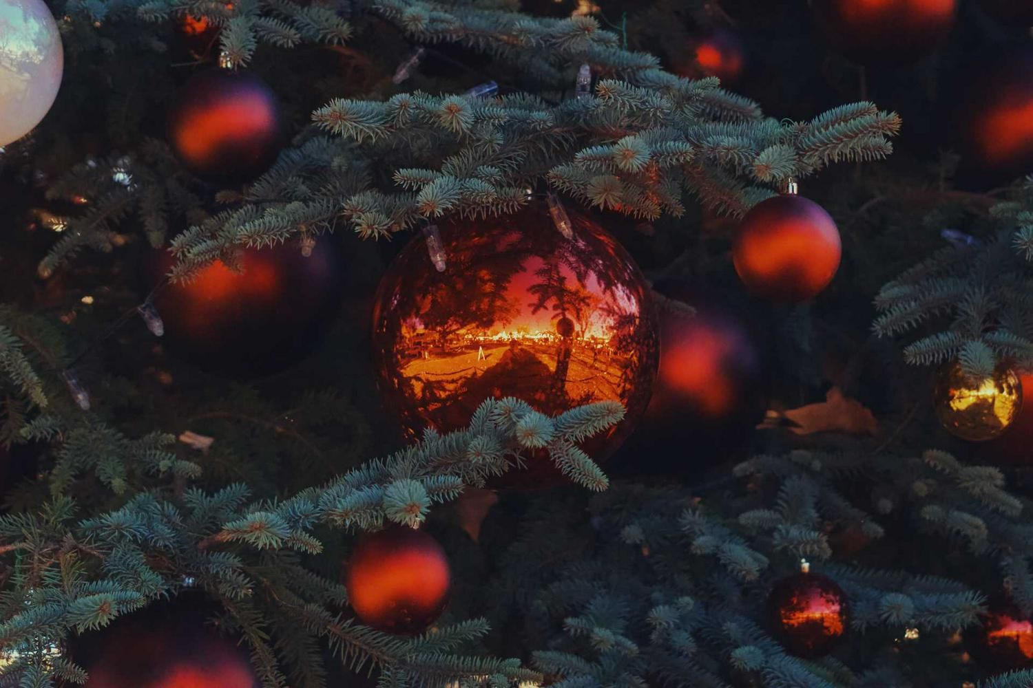 weihnachtsmarkt-seligenstadt-–-bester-treffpunkt-des-jahres-1y-Wish Gravity App