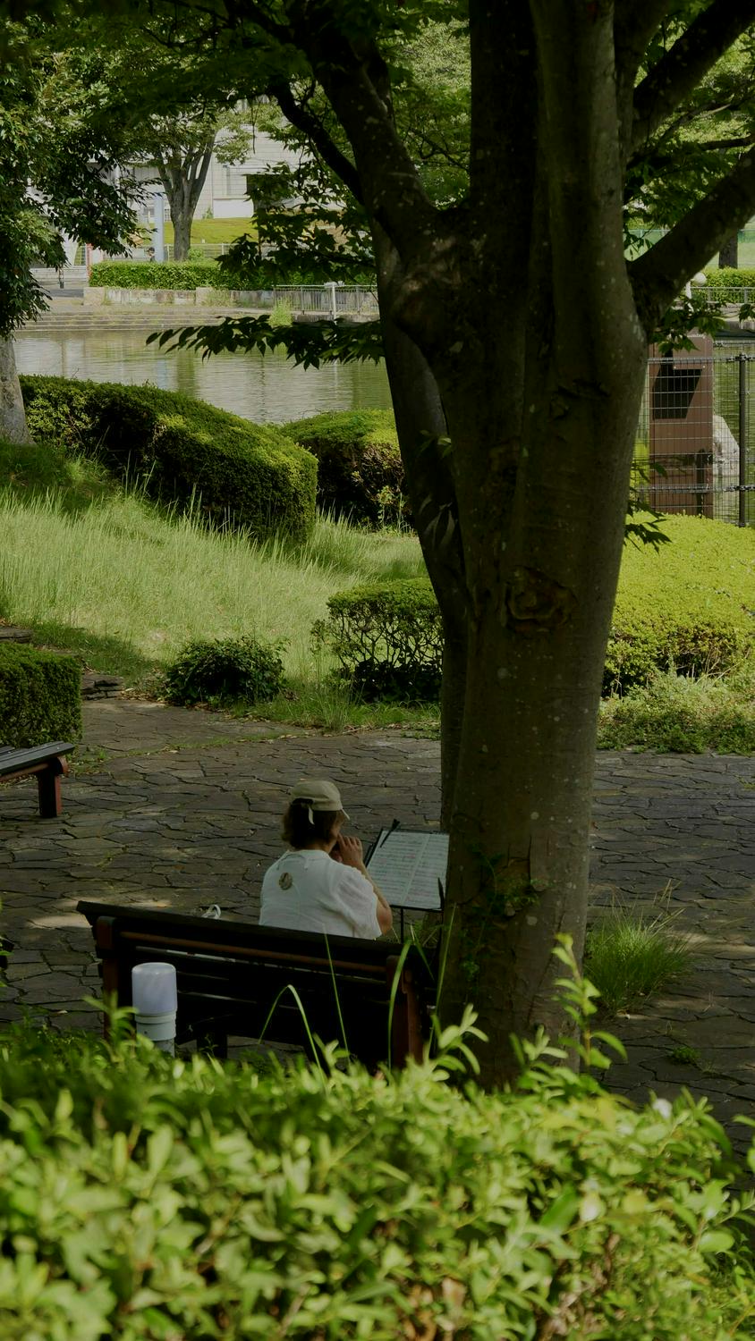 lesung:-freiheit-–-eine-herausforderung-St-Wish Gravity App