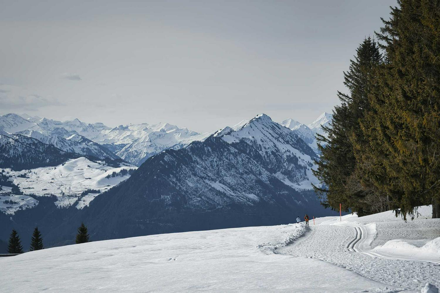 pistenbully-skicross-kids-camp---grasgehren-WN-Wish Gravity App